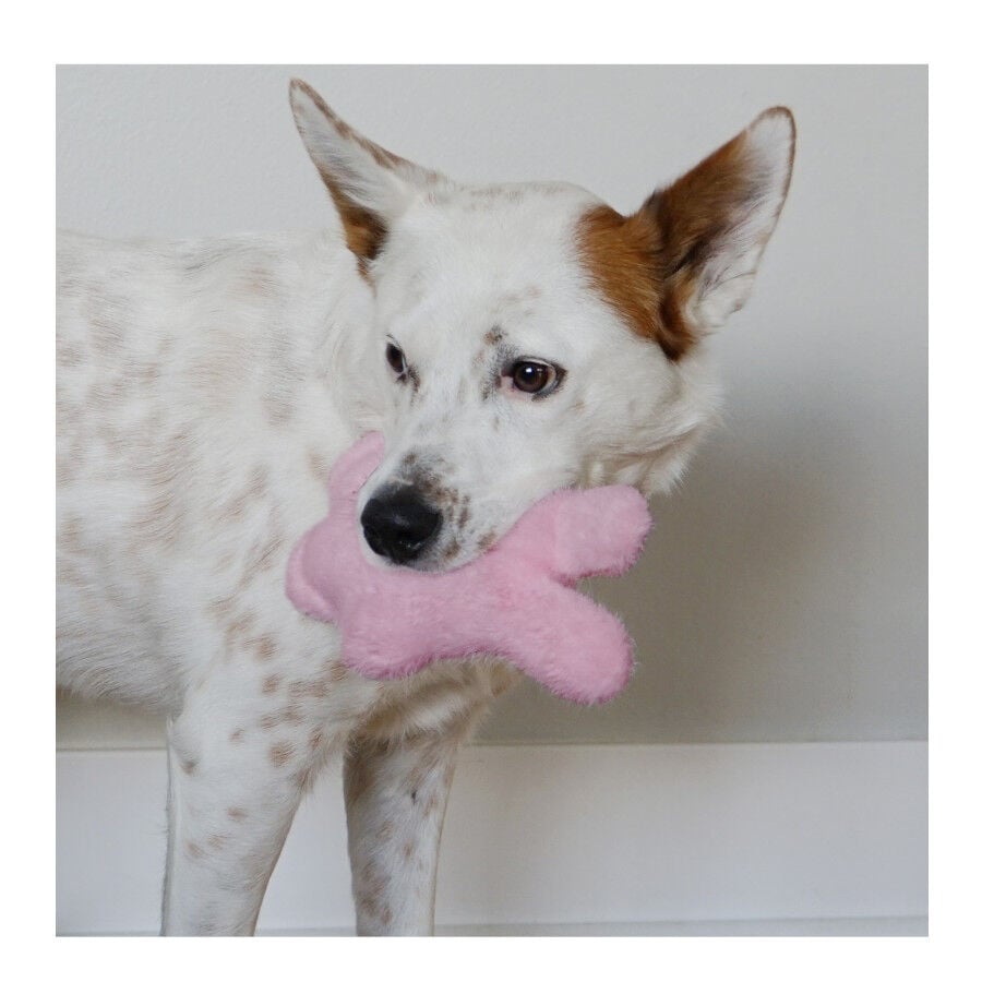 Kong Snuzzles Kiddos Conejo de peluche para cachorros, , large Imagen numero 2