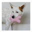 Kong Snuzzles Kiddos Conejo de peluche para cachorros, , large indicador imagen numero 2