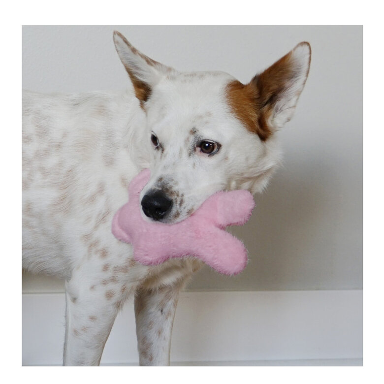 Kong Snuzzles Kiddos Conejo de peluche para cachorros,  Imagen numero 2 Kong Snuzzles Kiddos Conejo de peluche para cachorros, , large Imagen numero 2