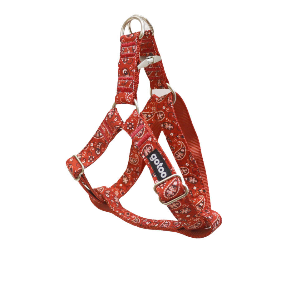 Gotoo Arn&eacute;s estampado cachemira rojo para perros, , large Imagen numero 1