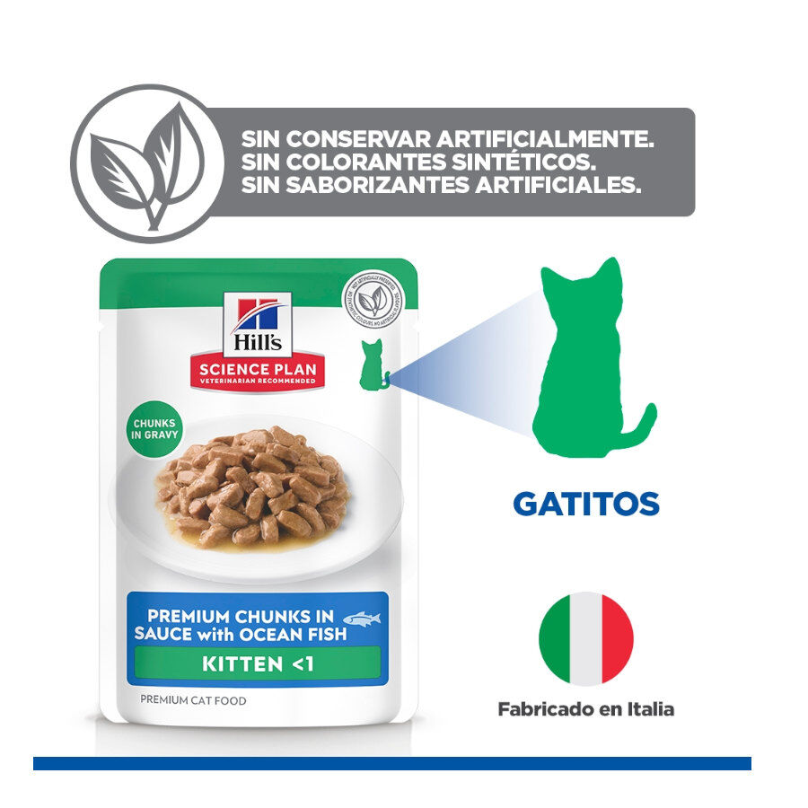85 g Hill's Science Plan Kitten Pescado Azul sobre para gatos, , large Imagen numero 5