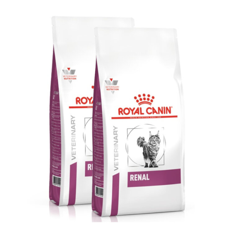 Royal Canin Veterinary Renal pienso para gatos, , large image number null