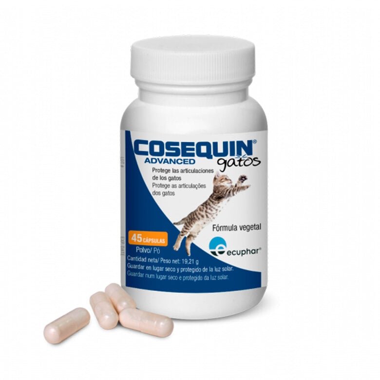 45 comprimidos Ecuphar Cosequin Advanced Condroprotector Articular para gatos,  Imagen numero 1 45 comprimidos Ecuphar Cosequin Advanced Condroprotector Articular para gatos, , large Imagen numero 1