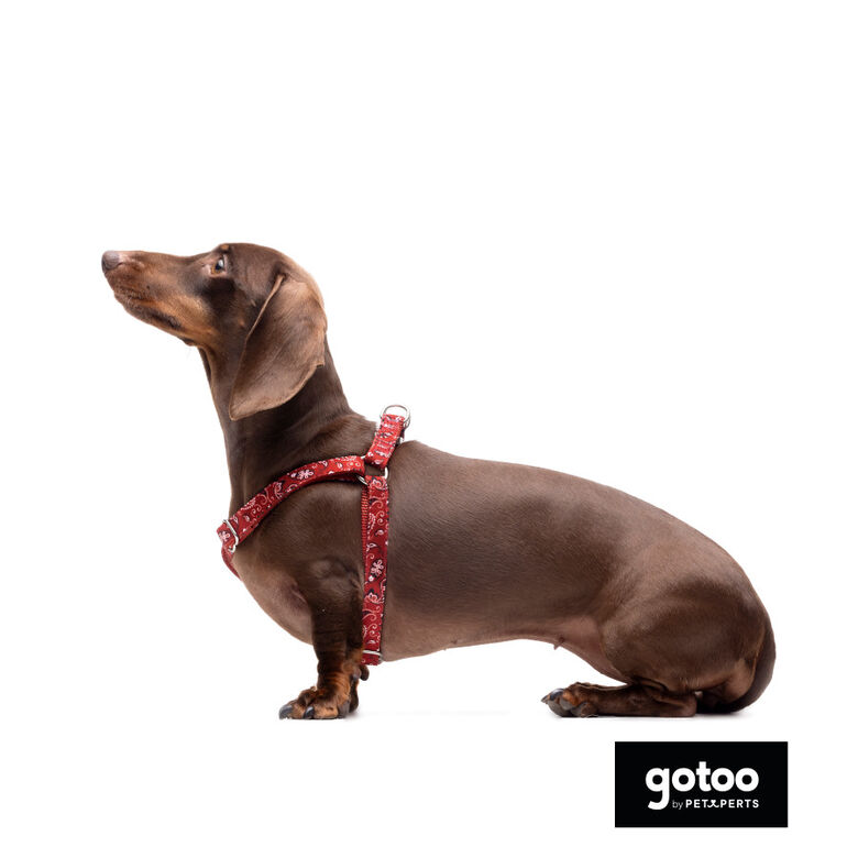 Gotoo Arnés estampado cachemira rojo para perros thumbnail