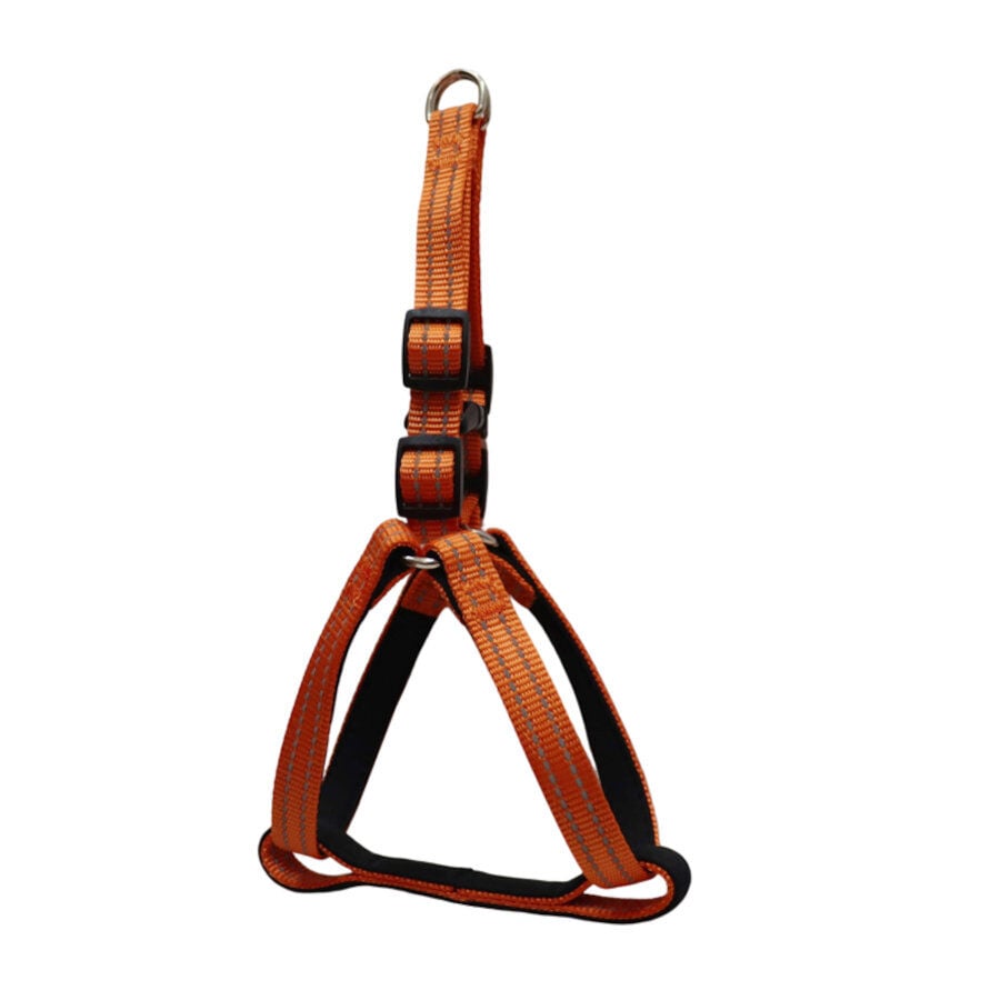 Gotoo Arn&eacute;s reflectante de neopreno naranja para perros, , large Imagen numero 1