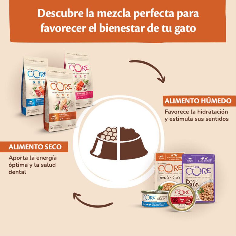 Wellness Core Tender Cuts pollo y salmón sobre en salsa para gatos thumbnail
