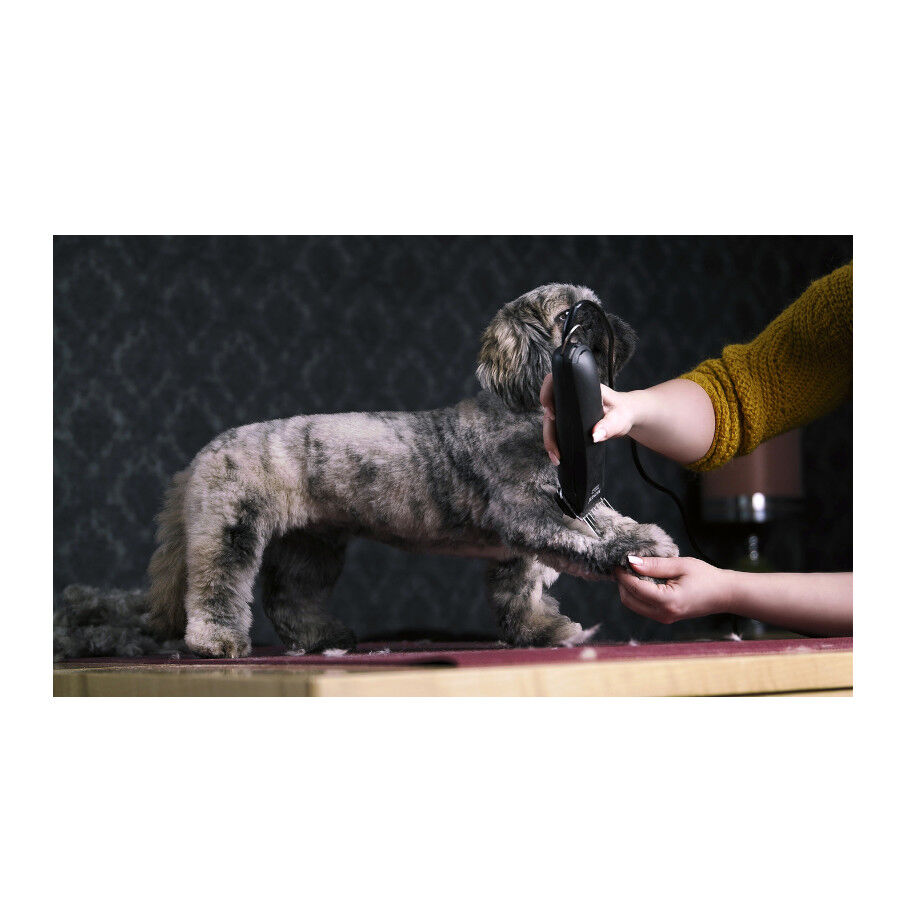 Moser Max 45 M&aacute;quina Cortapelo para perros, , large Imagen numero 2