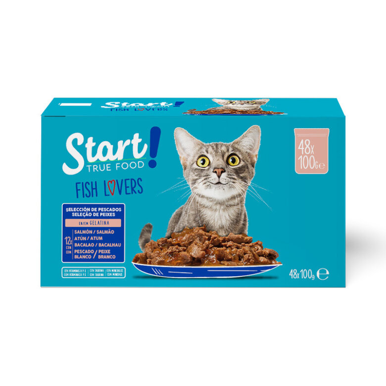 Start Cat Selección de Pescados sobres en gelatina para gatos - Multipack, , large image number null
