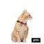Gotoo Collar rojo con cascabel extraíble para gatos, , large indicador imagen numero 3