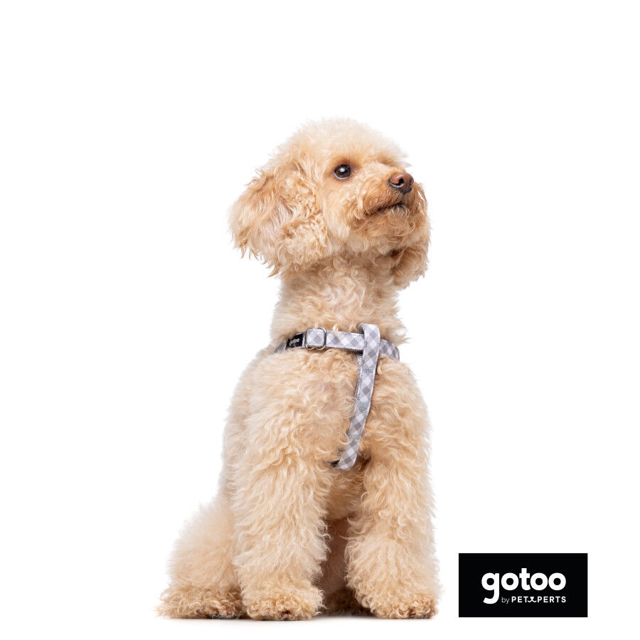 Gotoo Arnés estampado cuadro vichy gris para perros thumbnail