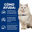 12 kg Hill's Prescription Diet Urinary Care c/d multicare stress pollo pienso para gatos, , large indicador imagen numero 5