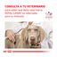 195 g Royal Canin Veterinary Recovery lata para perros y gatos, , large indicador imagen numero 5