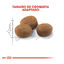 3.5 kg Royal Canin Adult 7+ Regular Sterilised pienso para gatos, , large indicador imagen numero 4