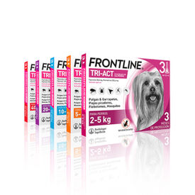 Frontline Tri-Act Pipetas Antiparasitarias para perros