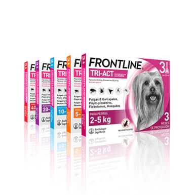 Frontline Tri-Act Pipetas Antiparasitarias para perros
