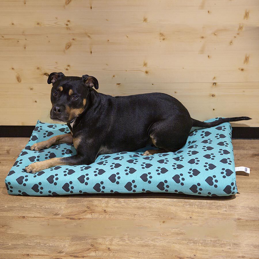 Dogzzz Corazones y Huellas Funda de Colch&oacute;n para perros, , large Imagen numero 5