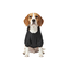 Gotoo Abrigo Impermeable Reflectante Negro para perros, , large indicador imagen numero 7