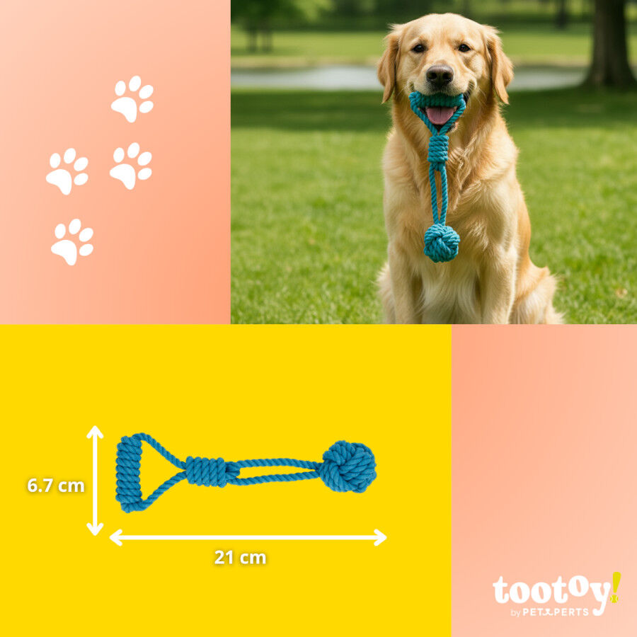 Tootoy! Modedor para Tirar de Cuerda con Pelota Azul para perros, , large Imagen numero 4