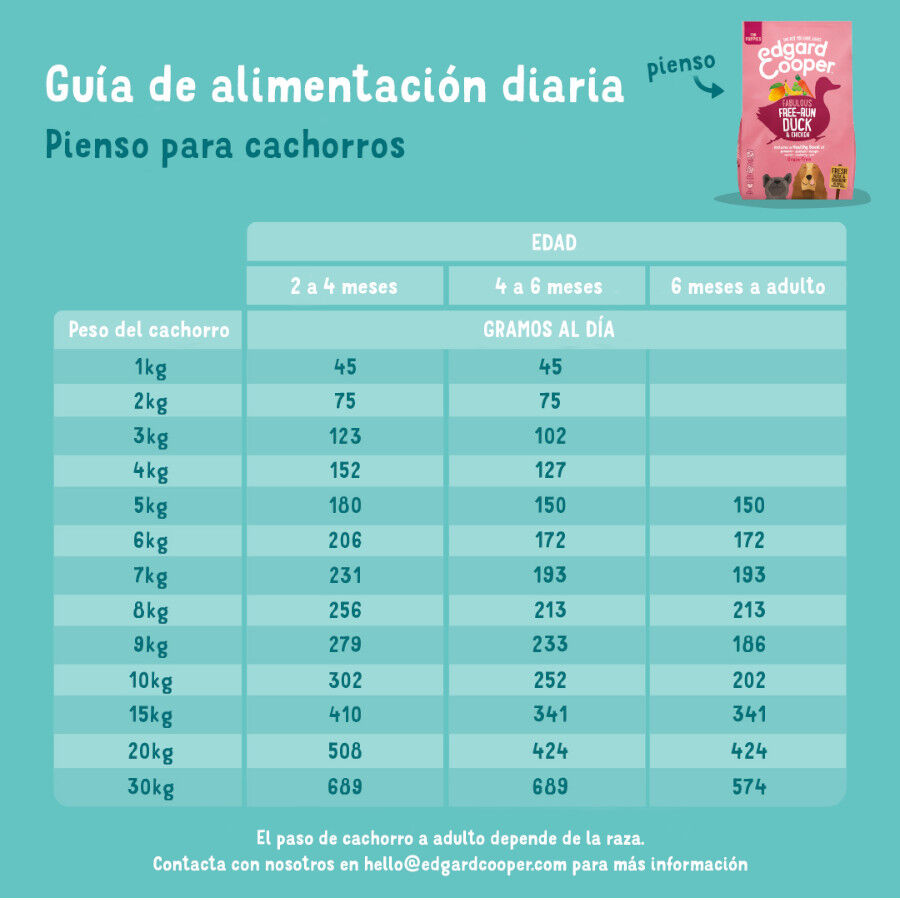 Edgard &amp; Cooper Puppy Salmón y Pavo pienso parra perros thumbnail