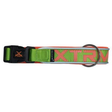X-TRM Neon Flash Collar Verde para perros