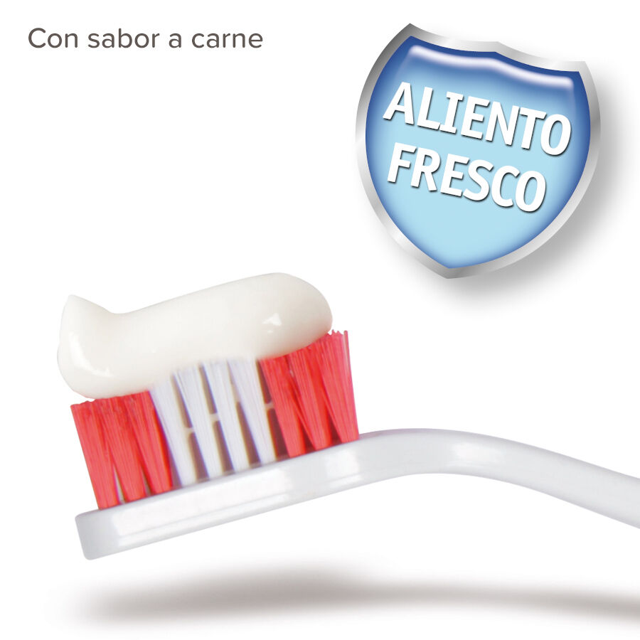 Beaphar Kit de Limpieza Dental para cachorros, , large Imagen numero 2