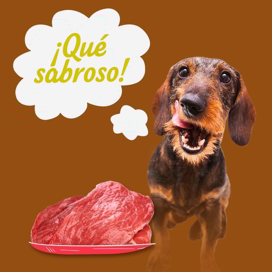 Start! Adult Pollo, Ternera y Cordero en Salsa lata para perros – Multipack thumbnail