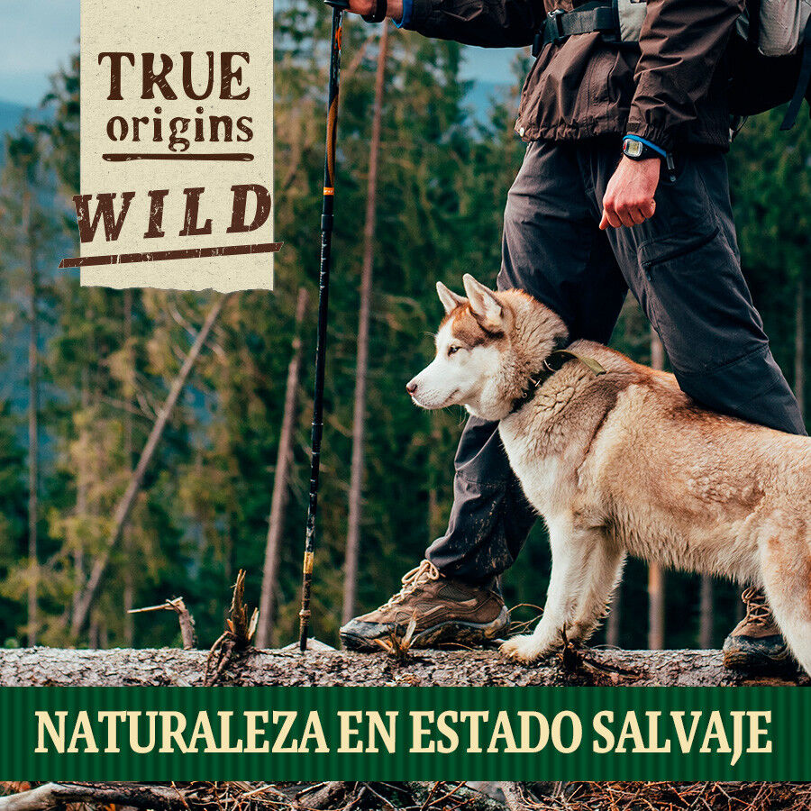 70 g. True Origins Piel Merluza Negra Snack para perros, , large Imagen numero 7
