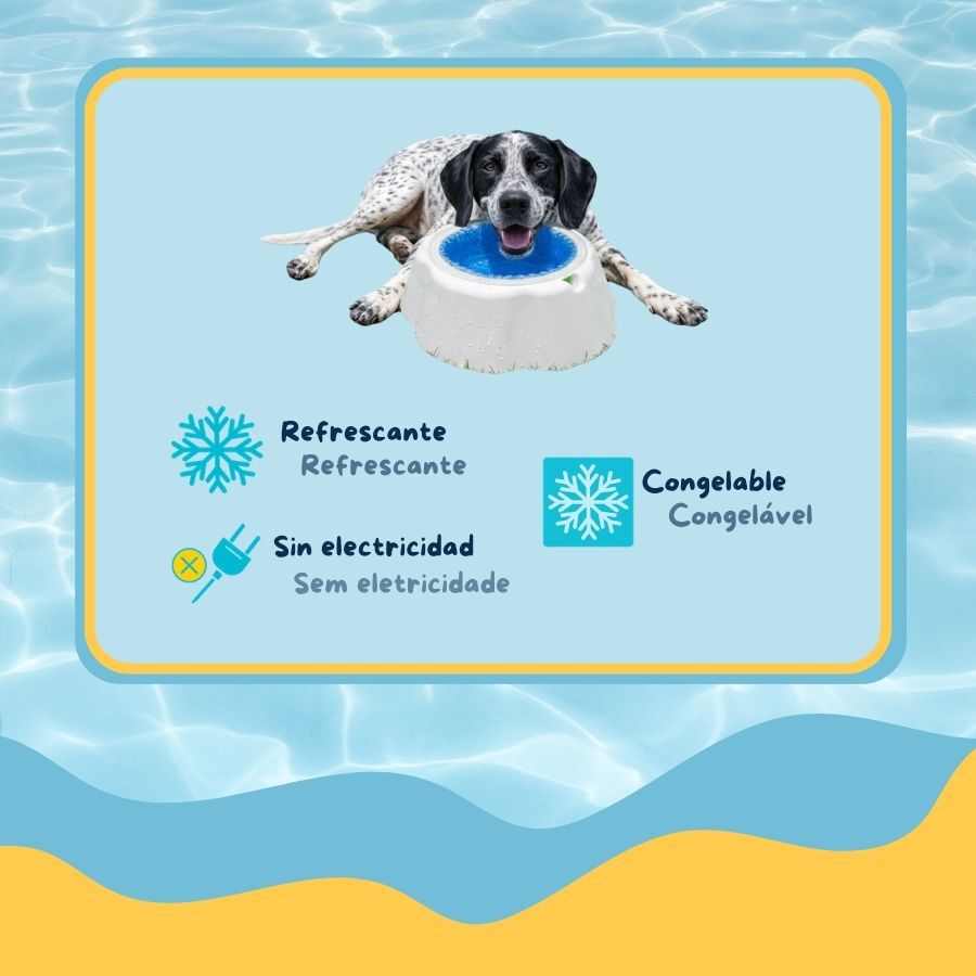 Summer Vibes Bowl Refrescante Comedero y Bebedero para perros, , large Imagen numero 3