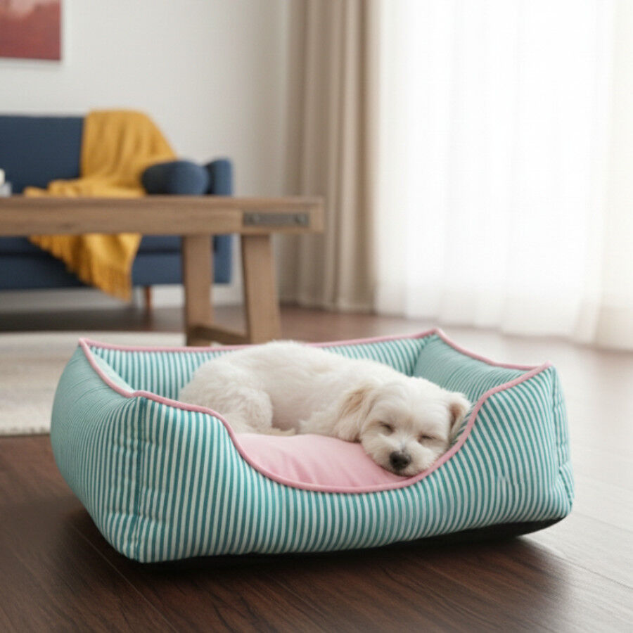 Leeby Cama Rayas Finas para perros, , large Imagen numero 1