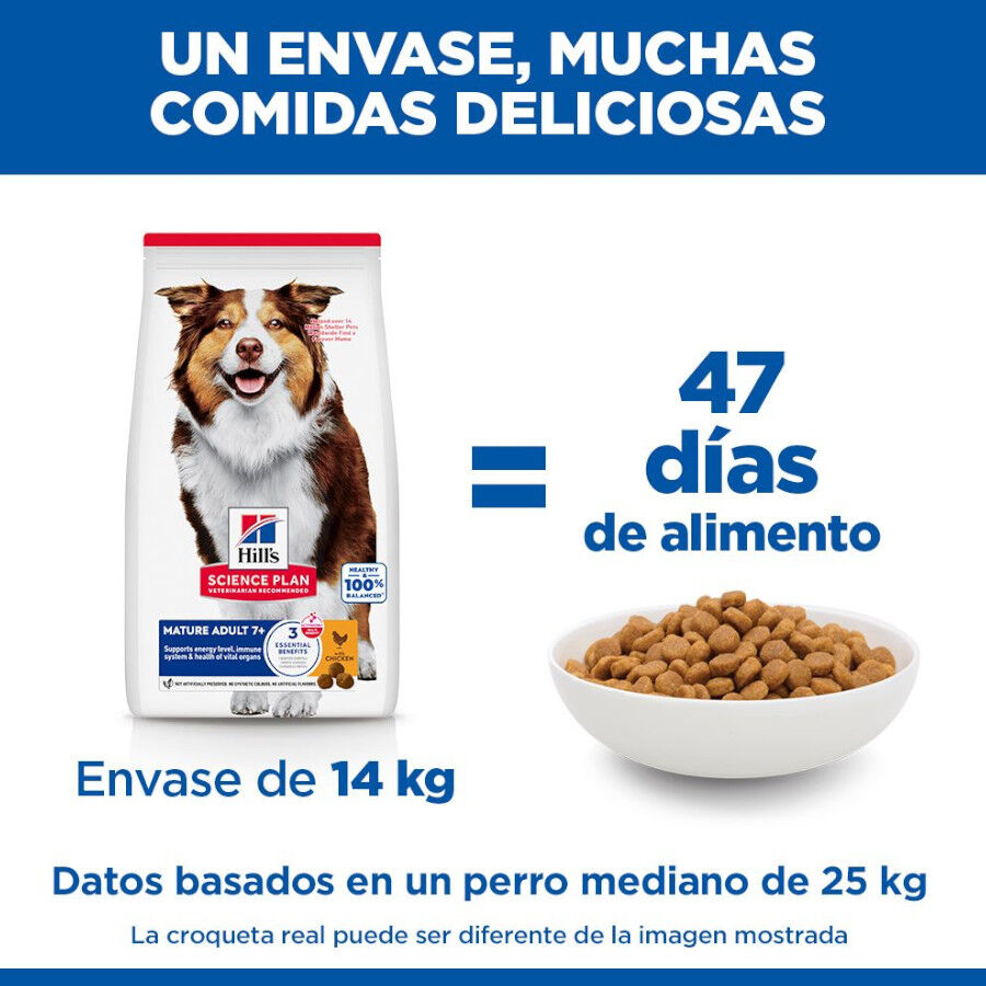 Hill&#039;s Science Plan Mature Adult Medium pienso pollo para perros de razas medianas thumbnail