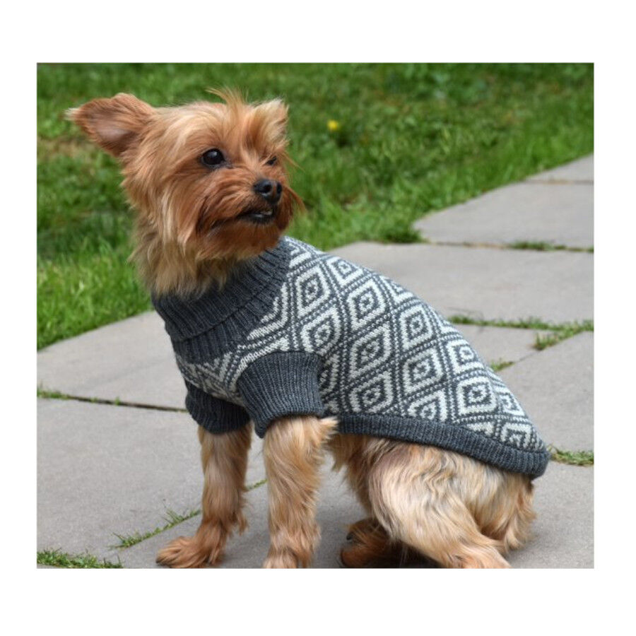 Nayeco Ecoline Jersey Geom&eacute;trico para perros, , large Imagen numero 2