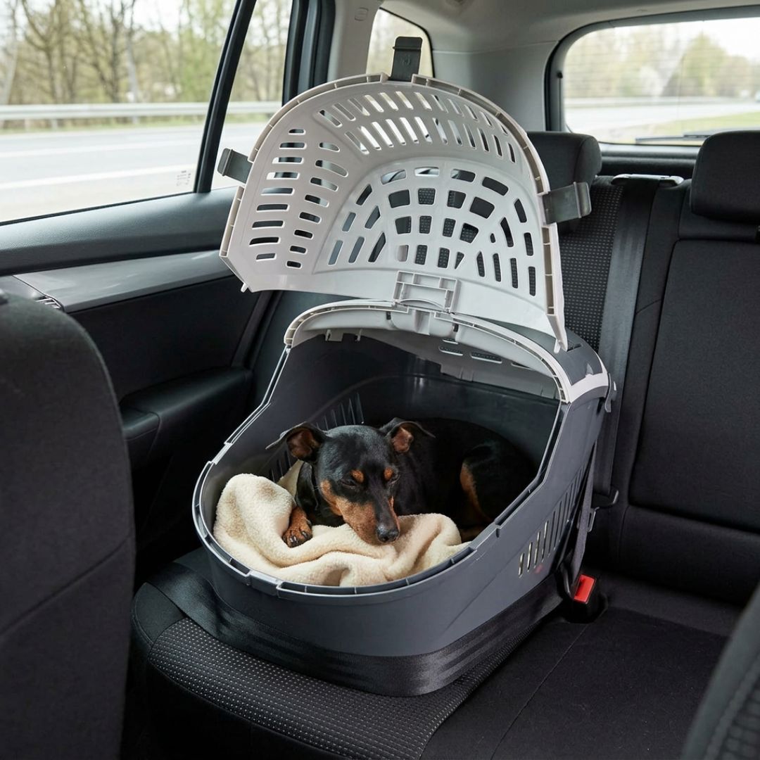 Outech Neila Transport&iacute;n especial coche para perros y gatos, , large Imagen numero 1