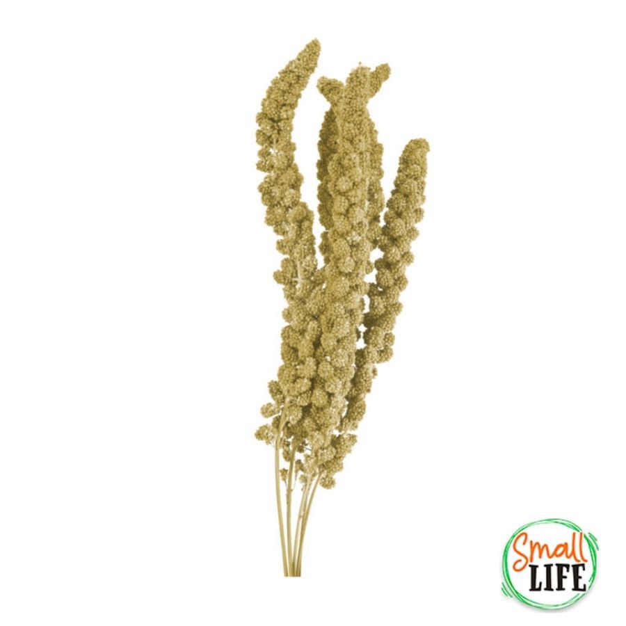 250 g Small life Snack Panizo Amarillo para p&aacute;jaros, , large Imagen numero 2