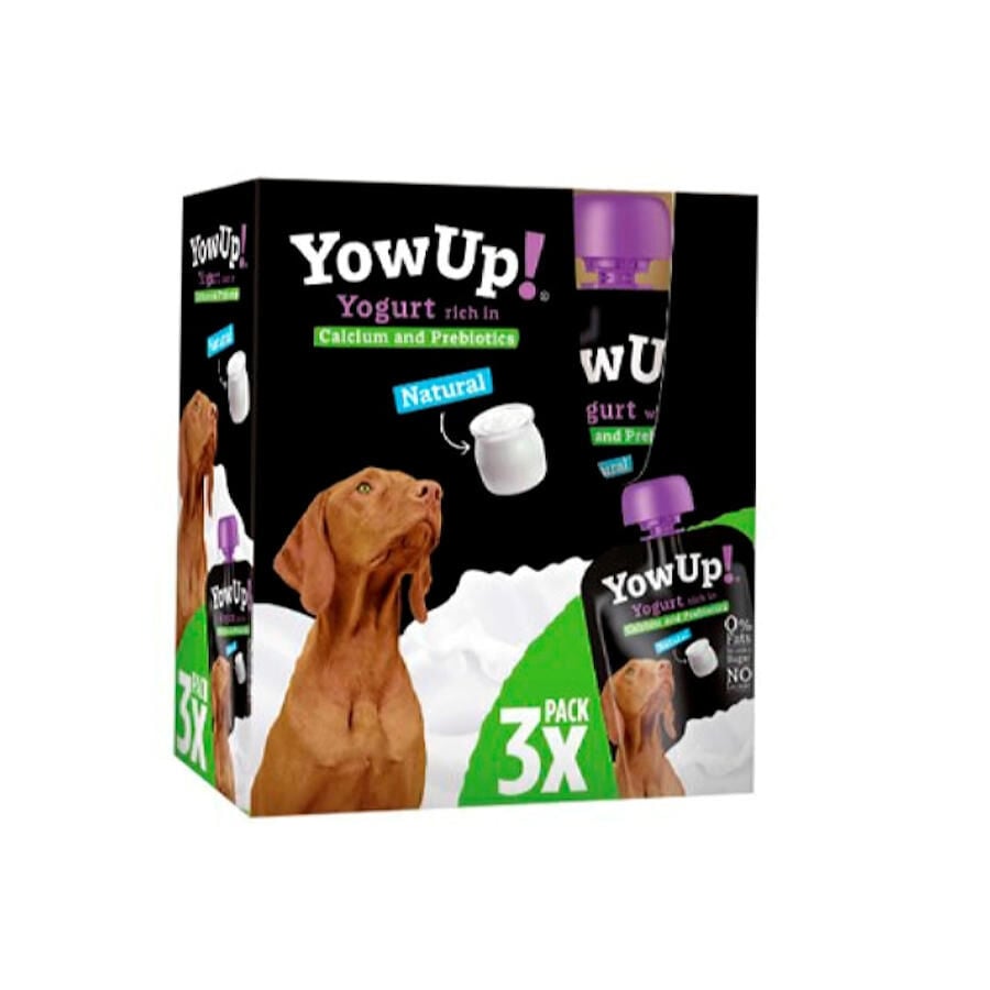 3 uds. x 115 g YowUp! Yogur Natural para perros, , large Imagen numero 1