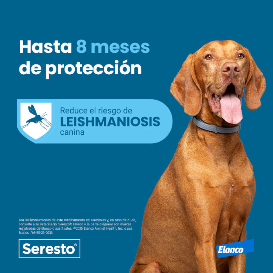 Seresto Collar Antiparasitario para perros thumbnail