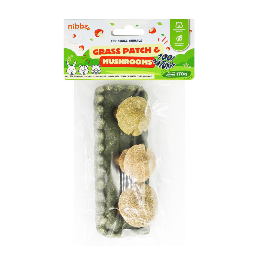 Nibbz Huerto de hierba y Hongos Comestible complemento alimenticio para roedores, , large Imagen numero 2