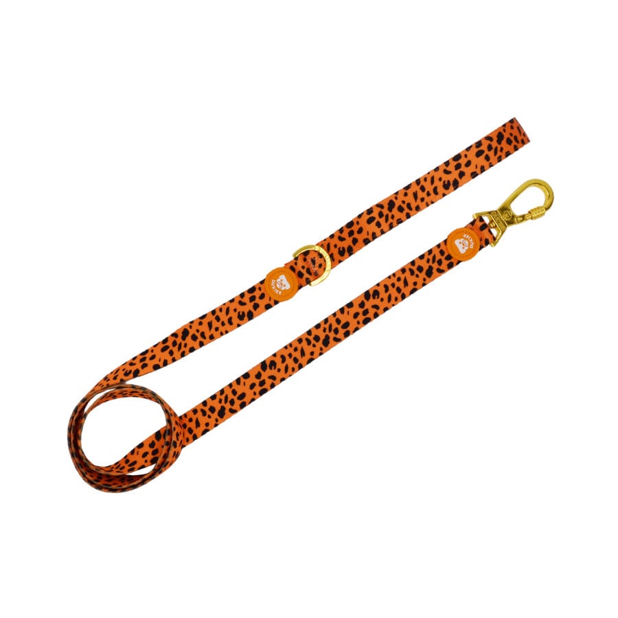 Dukier Cheetah correa para perros, , large Imagen numero 1