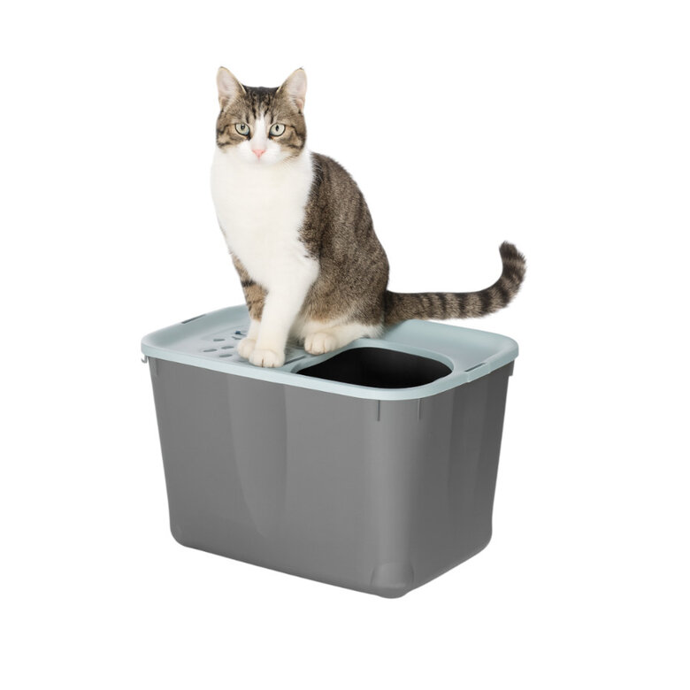 Nice Care Eco Arenero Micia Azul para gatos,  Imagen numero 1 Nice Care Eco Arenero Micia Azul para gatos, , large Imagen numero 1