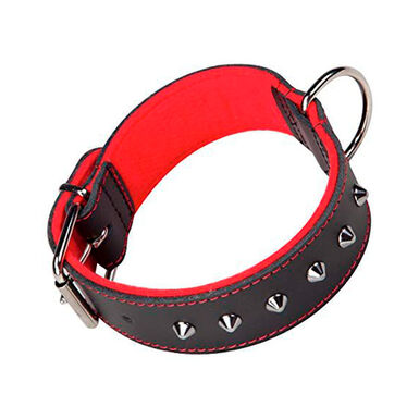 Arppe Choppers Correa con Tachuelas para perros