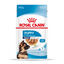 140 g Royal Canin Húmedo Maxi Puppy, , large indicador imagen numero 1