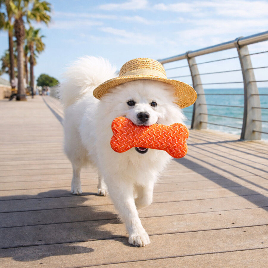 Summer Vibes Hueso Refrescante Naranja Juguete para perros, , large Imagen numero 1
