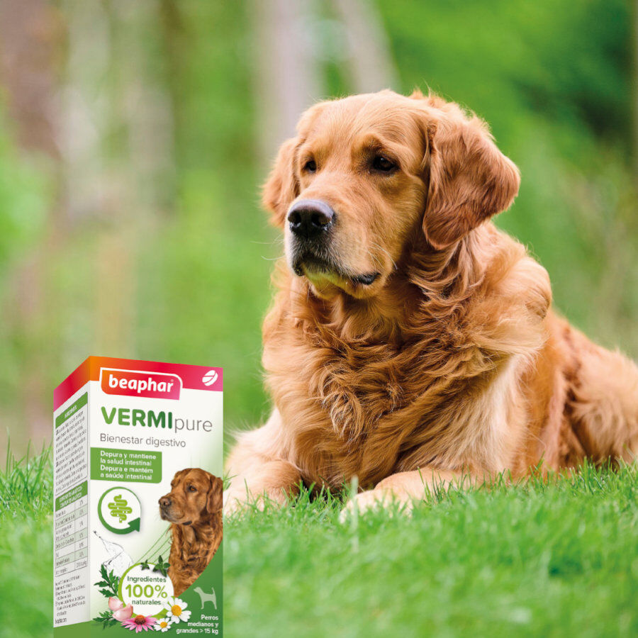 Beaphar Vermipure Repelente Interno Natural en comprimidos para perros medianos y grandes thumbnail