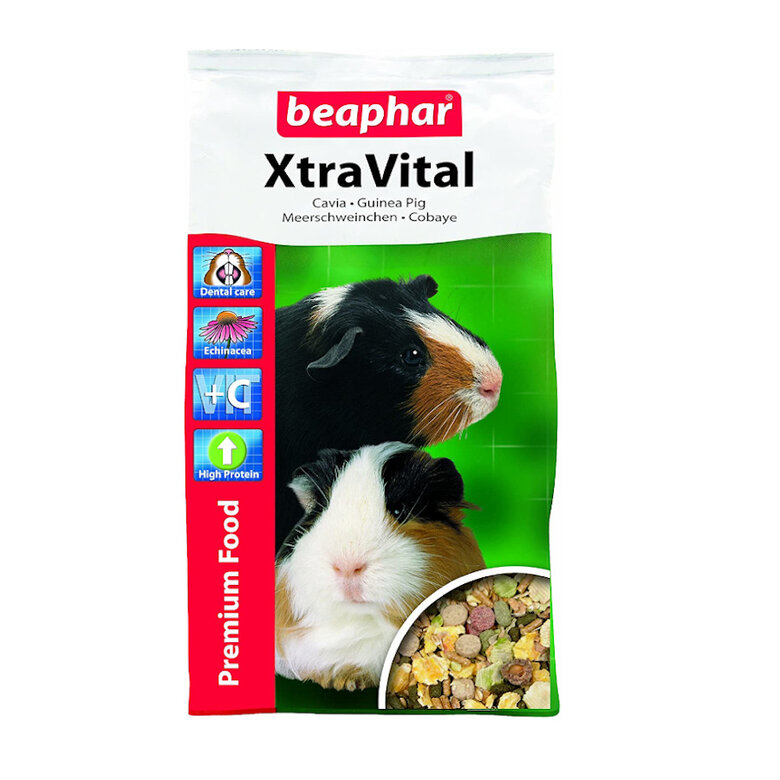 Beaphar Xtravital pienso para cobayas,  Imagen numero 1 Beaphar Xtravital pienso para cobayas, , large Imagen numero 1