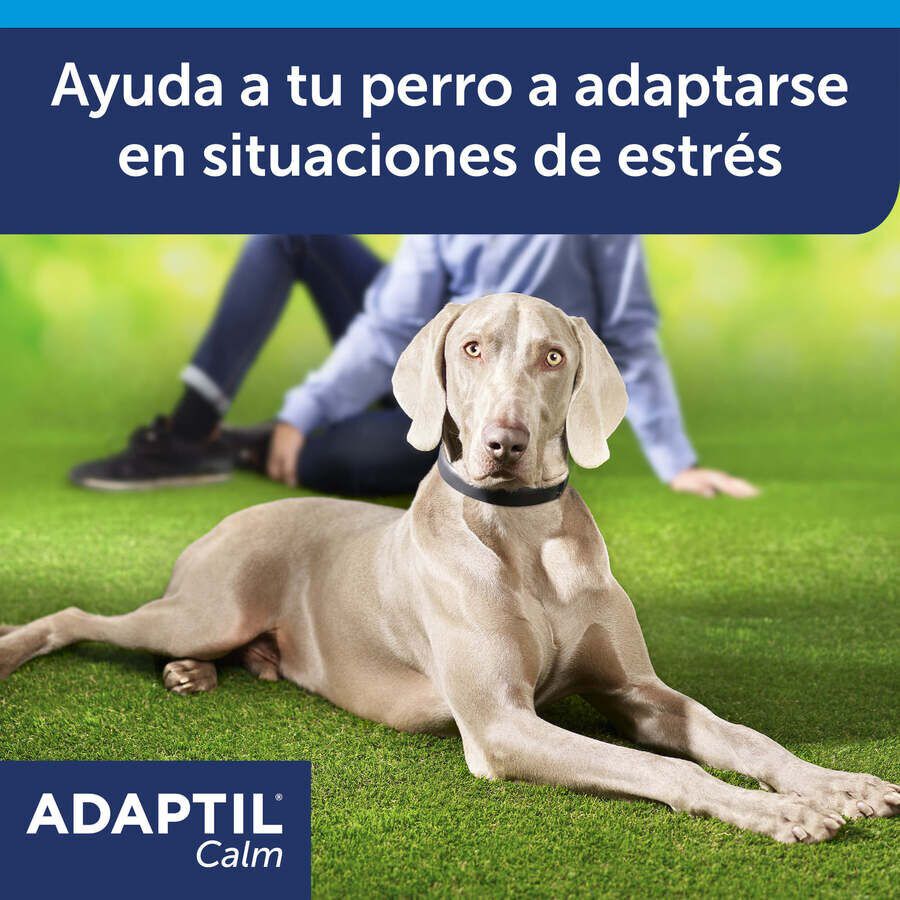 Adaptil Collar Tranquilizante para perros thumbnail