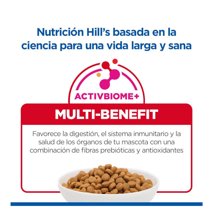 1.5 kg Hill's Science Plan Adult Pienso Salm&oacute;n para gatos, , large Imagen numero 7