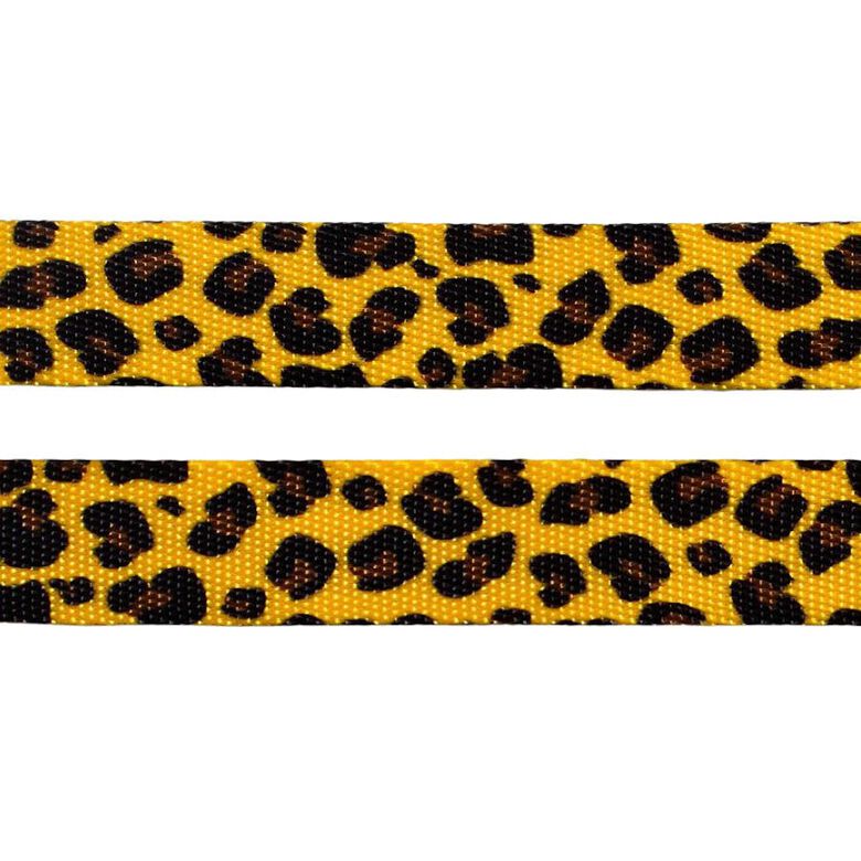 Zeedog Honey Collar multicolor para perros thumbnail