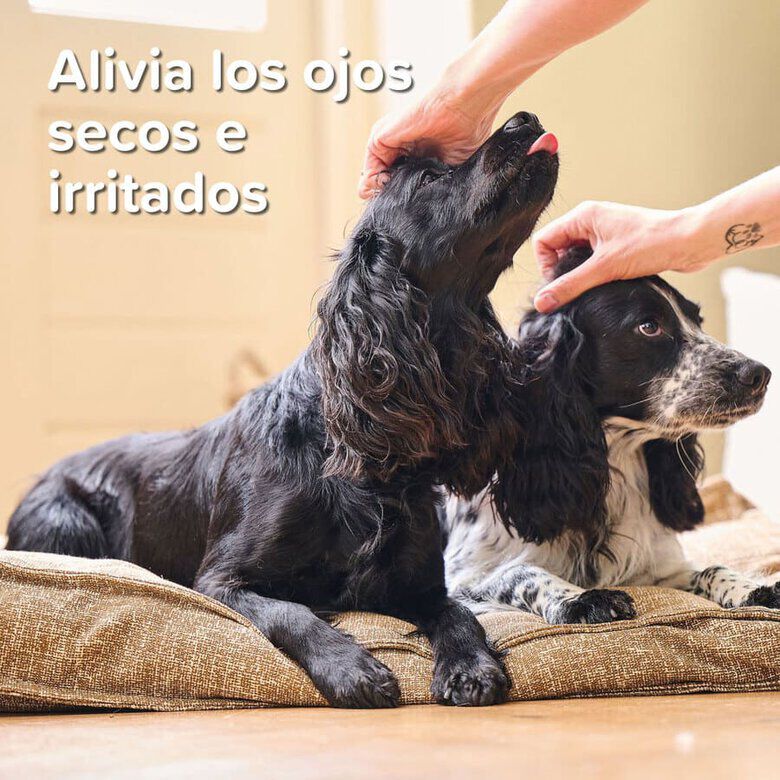 Beaphar Gel Ocular para mascotas thumbnail