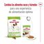 3 kg Royal Canin X-Small Adult pienso para perros, , large indicador imagen numero 7