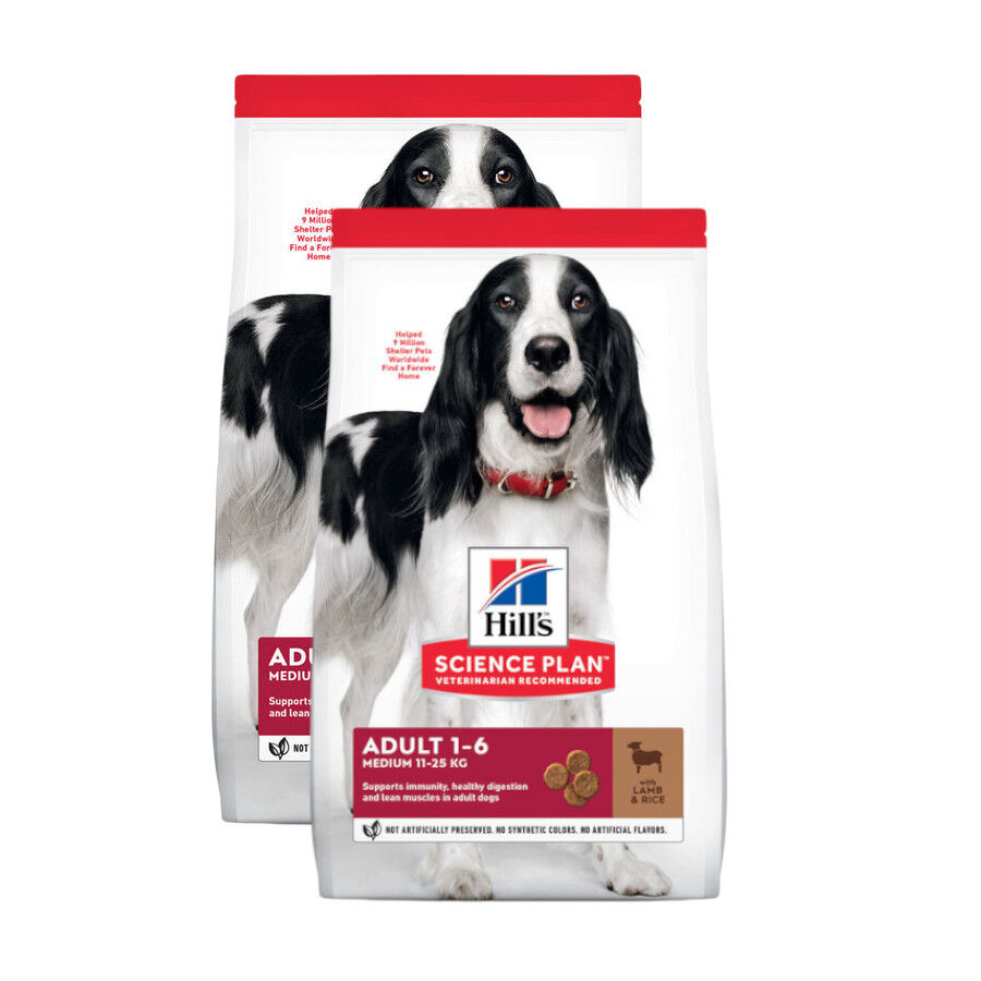 Hill's Science Plan Adult Medium Cordero y Arroz pienso para perros