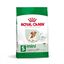 3.5 kg Royal Canin Mini 12+ Ageing pienso para perros, , large indicador imagen numero 1